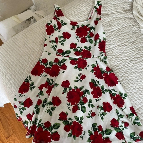 H & M ROSE DRESS SIZE 8 - Picture 7 of 16